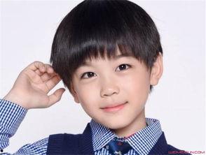 张峻豪个人资料