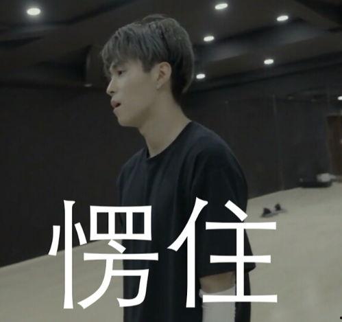 坤音表情包,萌动青春，笑点满满