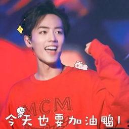 肖战表情包晚安,治愈心灵的温馨瞬间